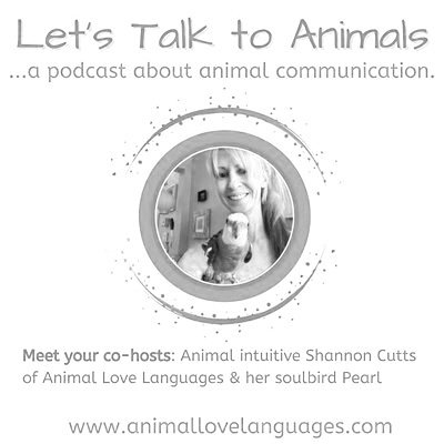 LetsTalkToAnimals